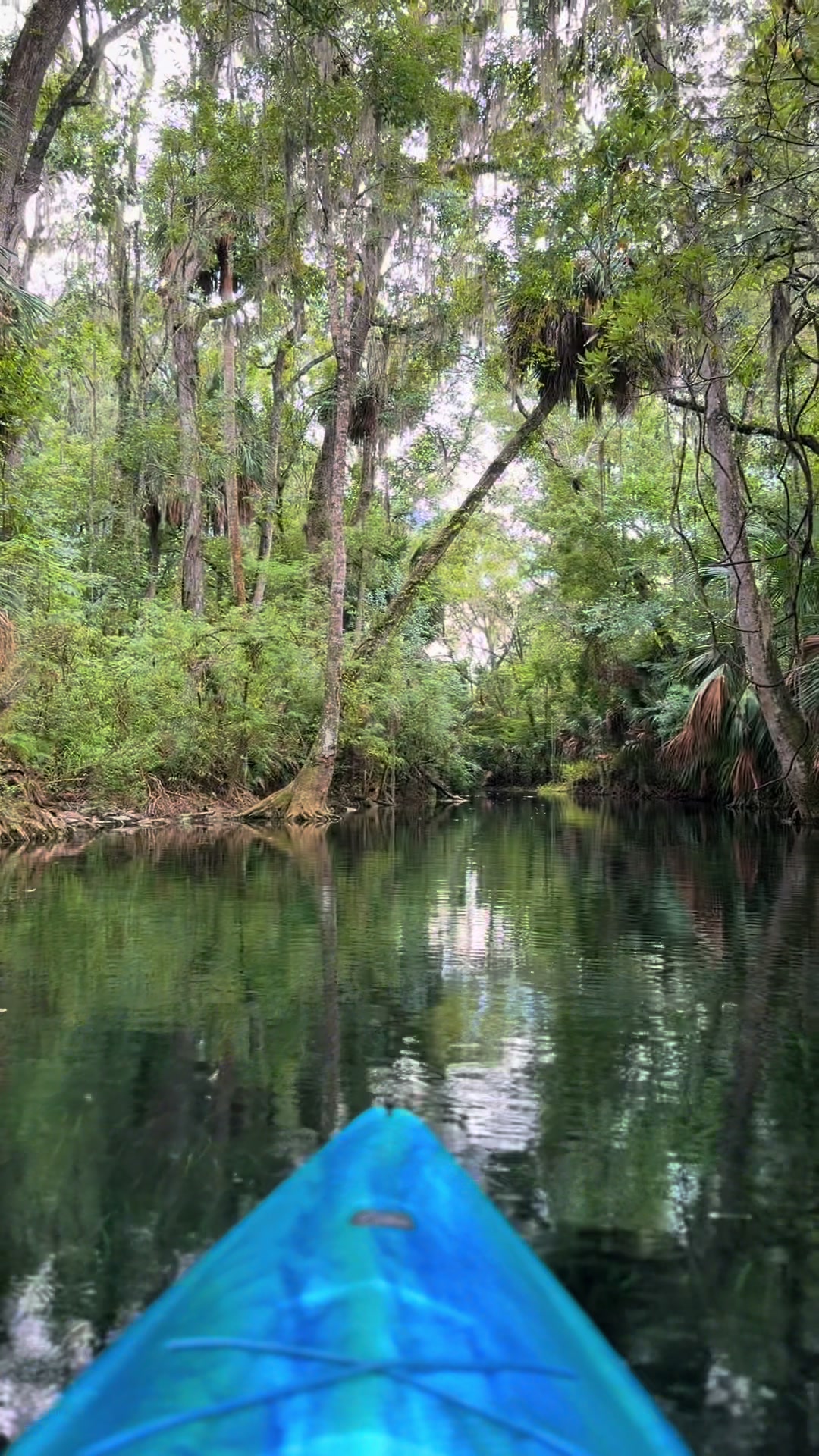 @Wet Rabbit Kayaks