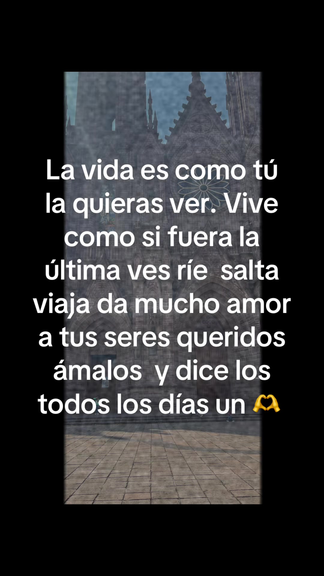 @almabustos466