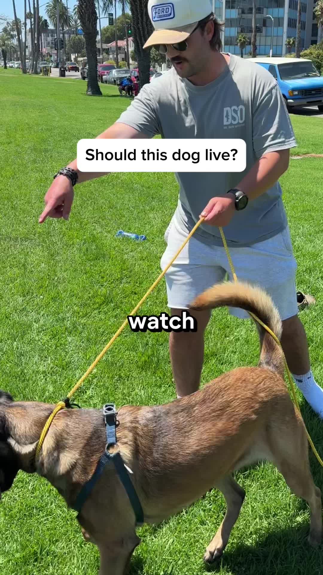 @forthedogs