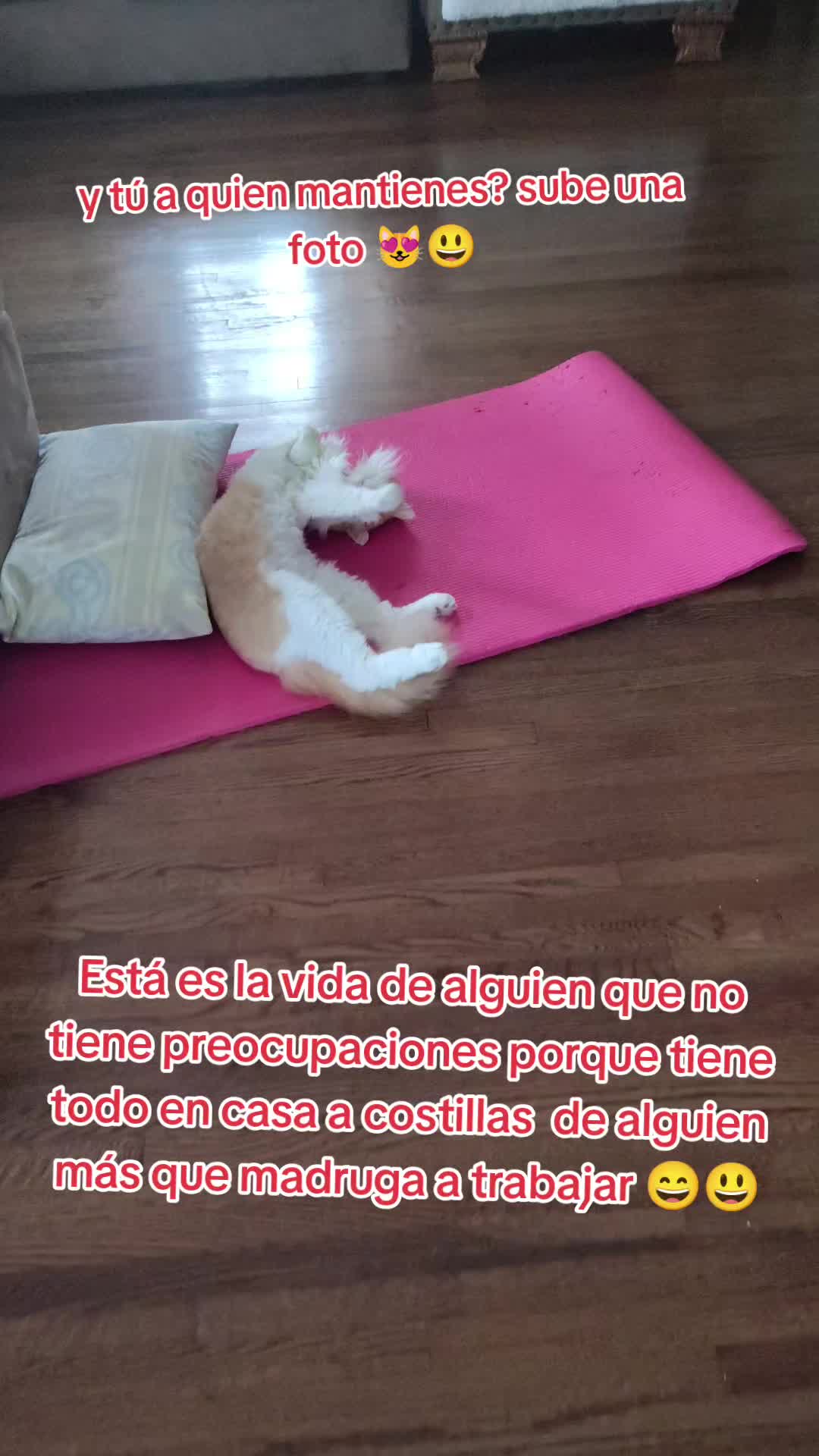 @Charlotte🐕&zwj;🦺🐈🐕🦬🐐🐎🐄🐒