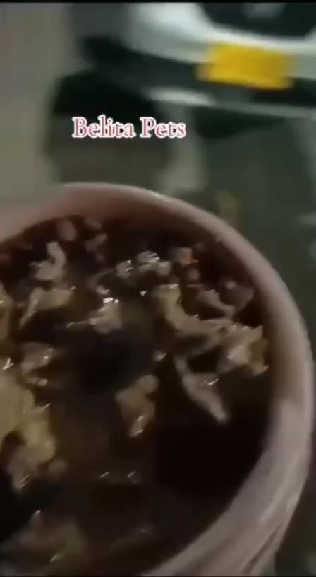 @BelitaPets