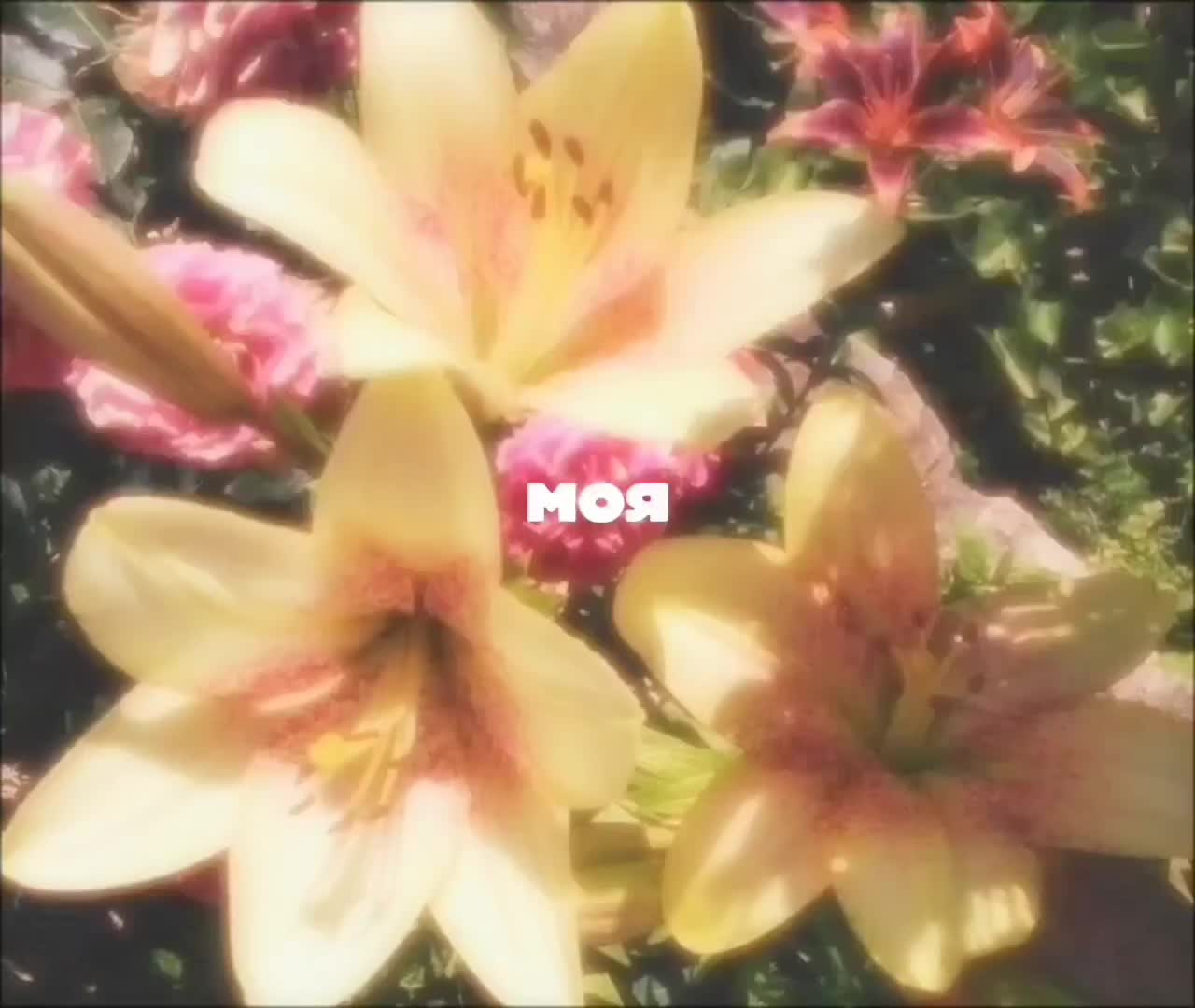 @снюс