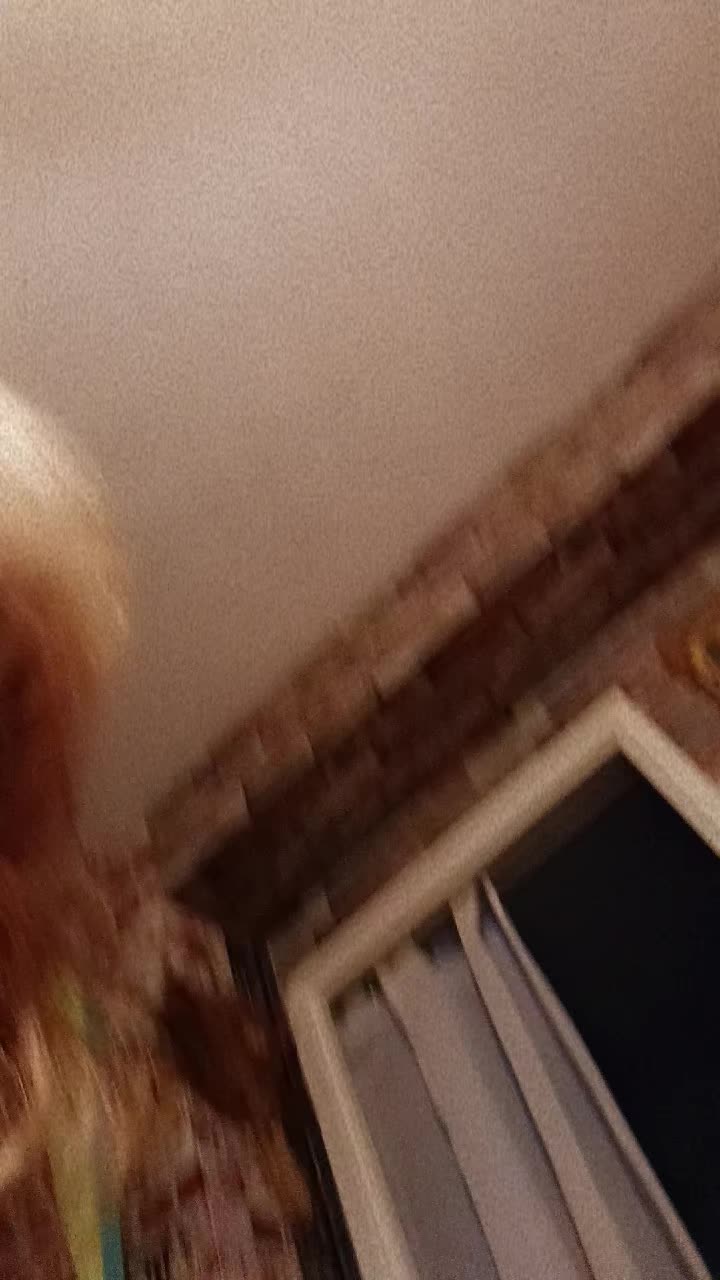 @moniquehenry680