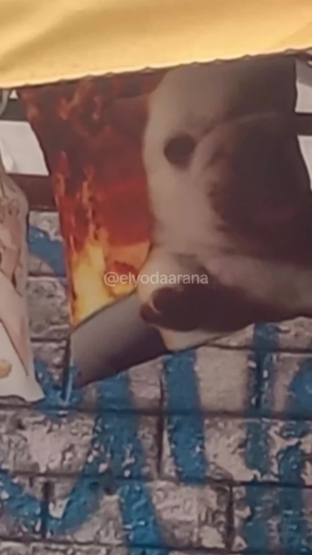 @Elyodaarana