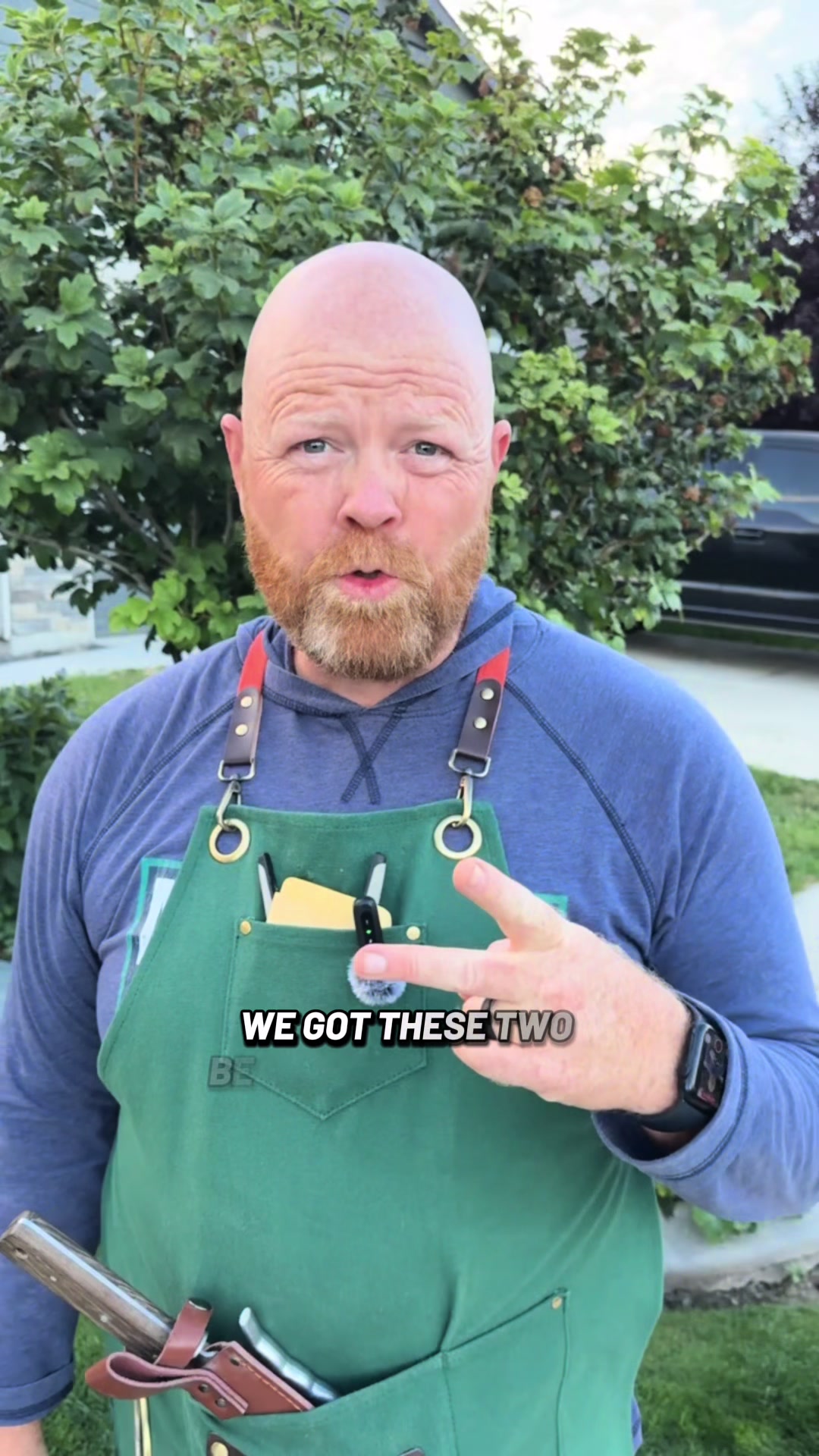 @backyardBeeg