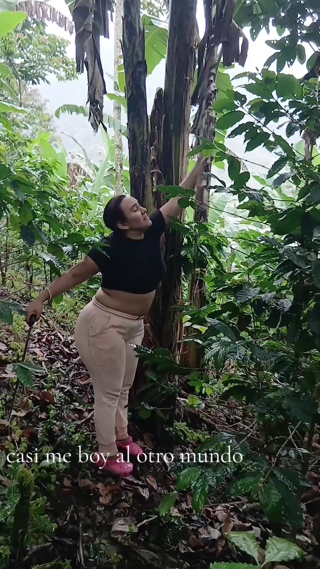 @la chaparra toxica