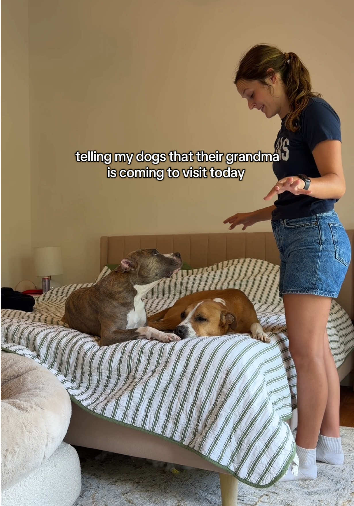 @Abby KPA-CTP | Dog Trainer