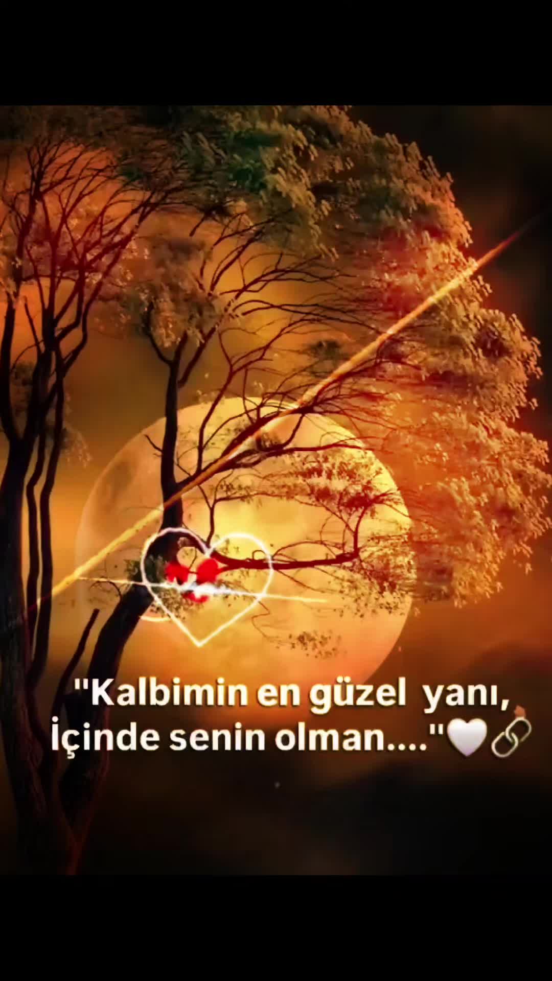 @Ayperi