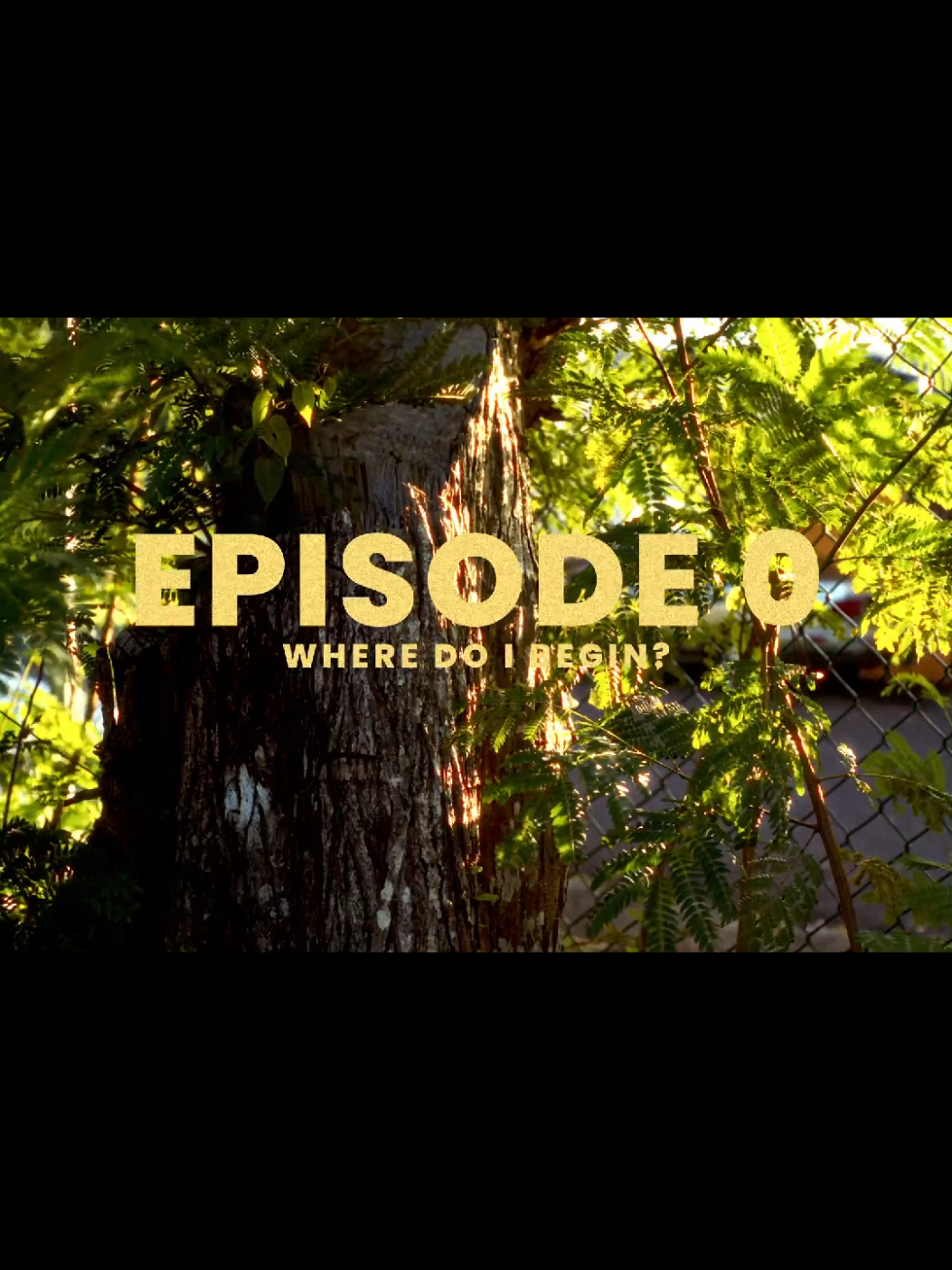 @Darnley Francis | Filmmaker