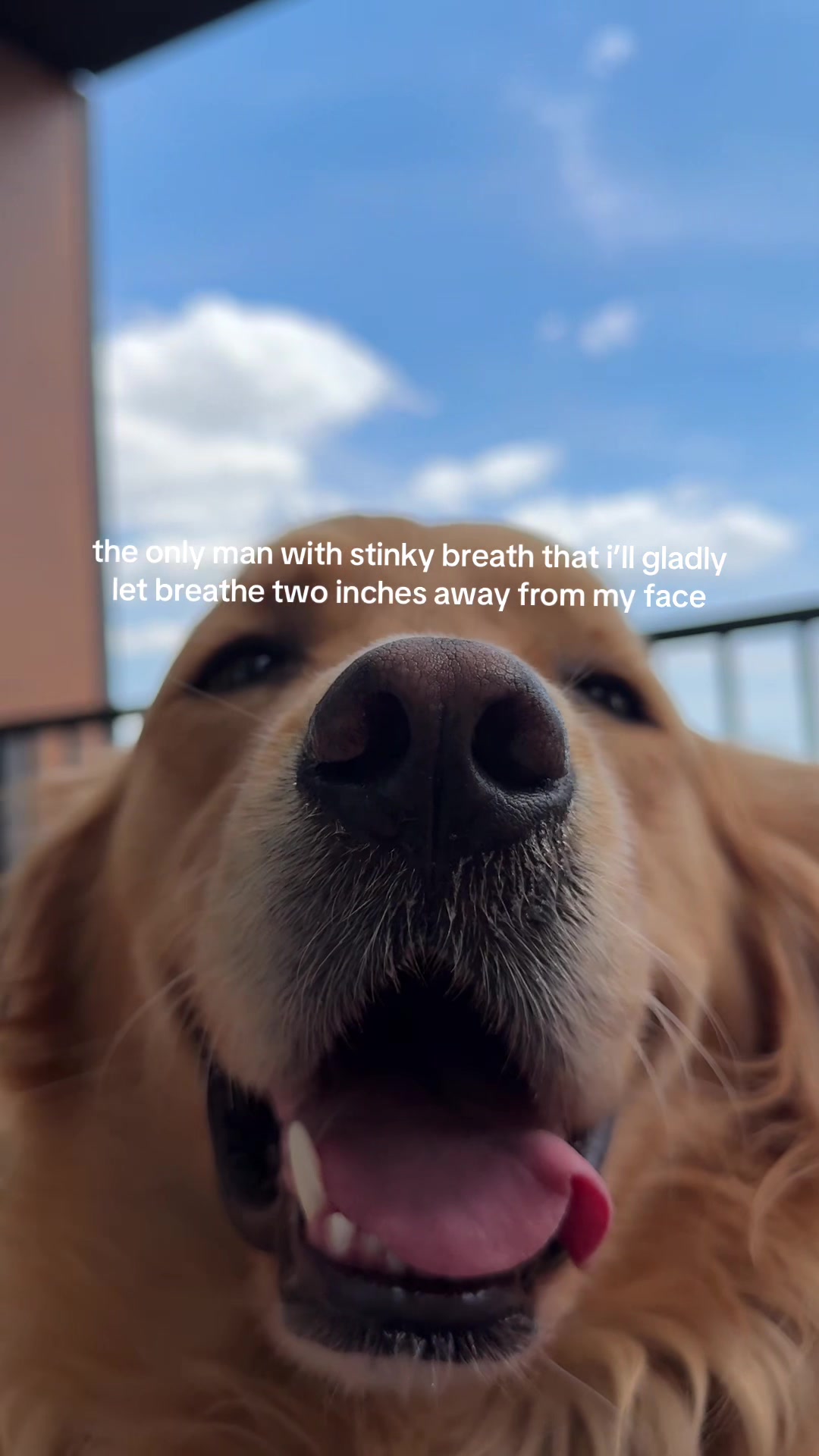 @Teddy, Bubbles, & Biscuit