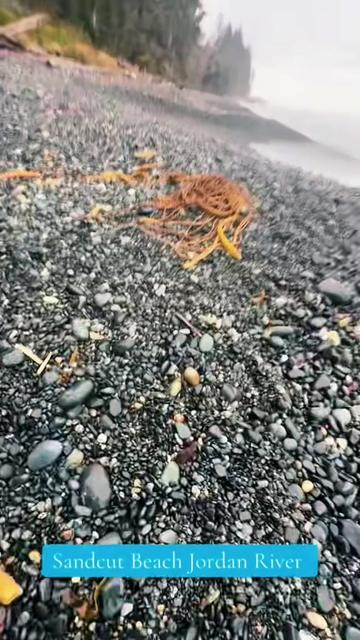 @Vancouver Island BC Canada