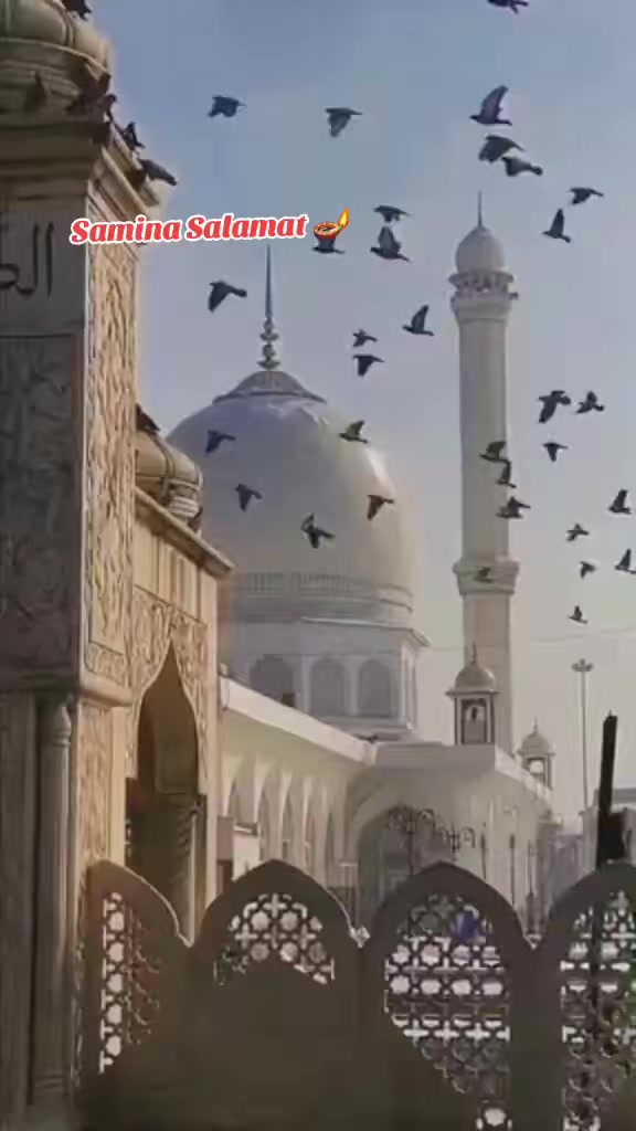 @Samina_salamat_pk