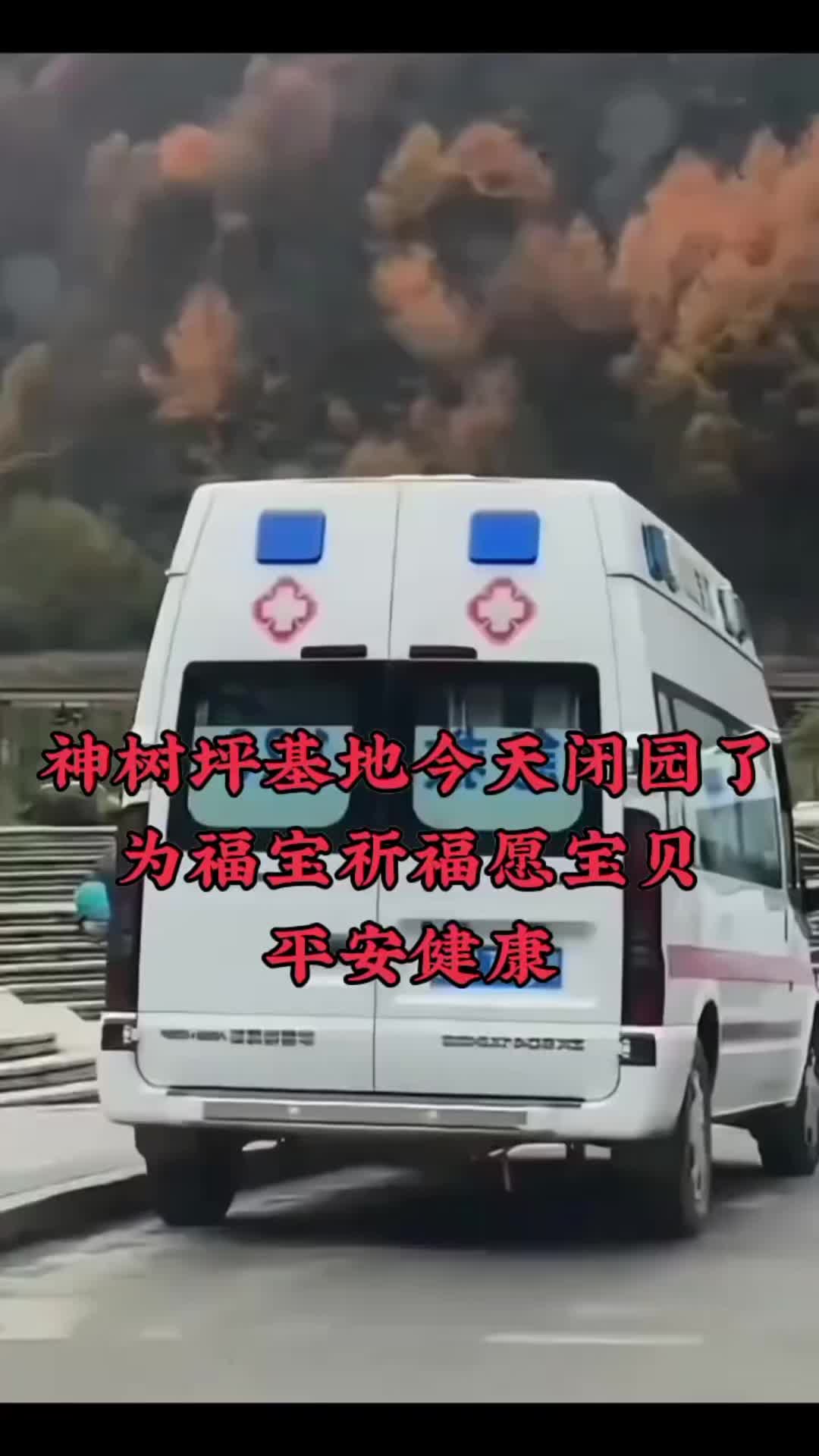 @一生等待