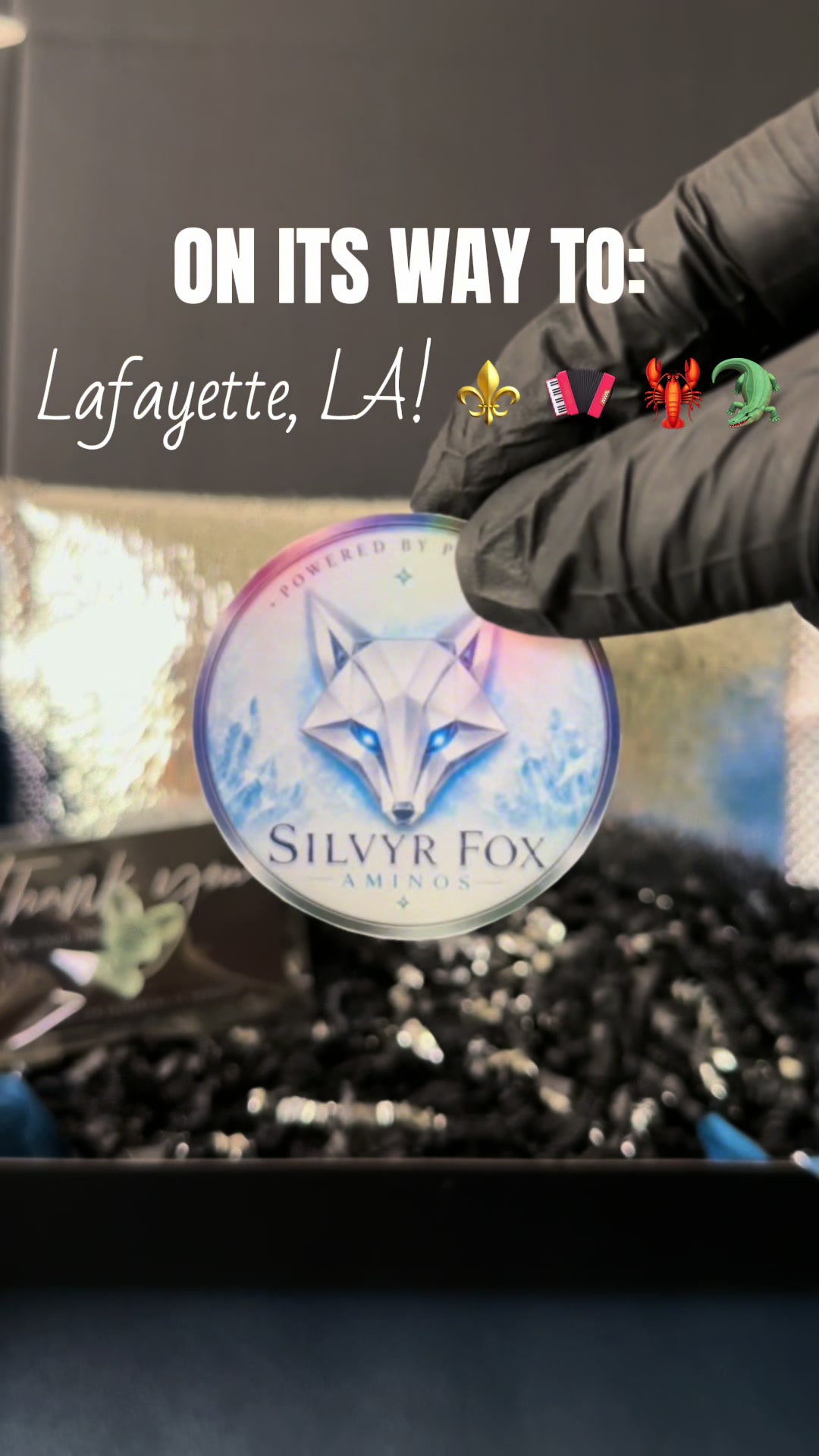 @SILVYRFOXAMINOS