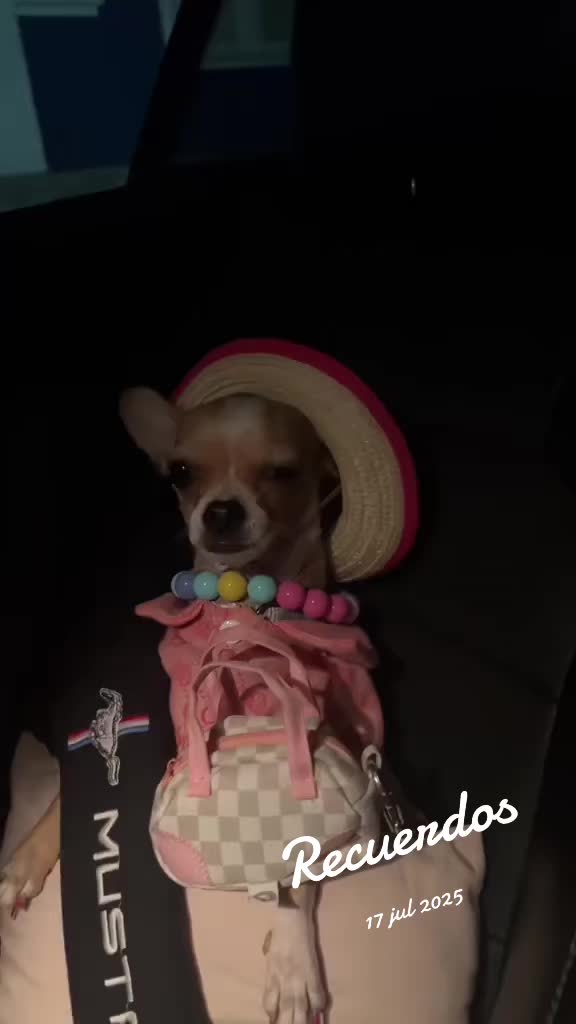 @ROCKO y Lucy 🥰