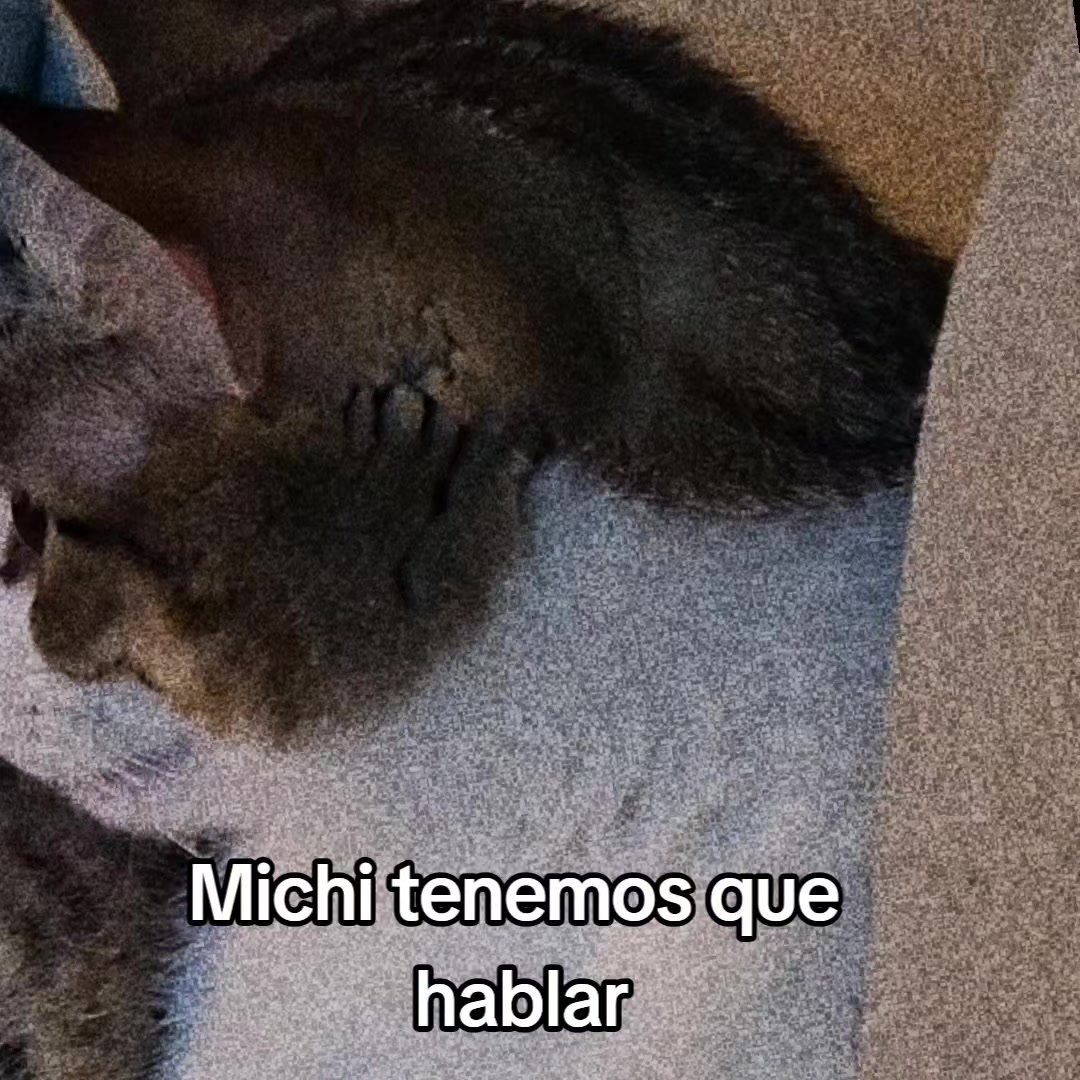 @🛡️𝙇𝙪𝙞𝙨-𝙍𝙞𝙘𝙤🛡️