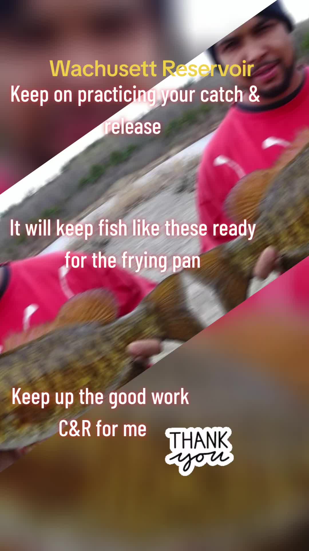 @Carlos Pagan