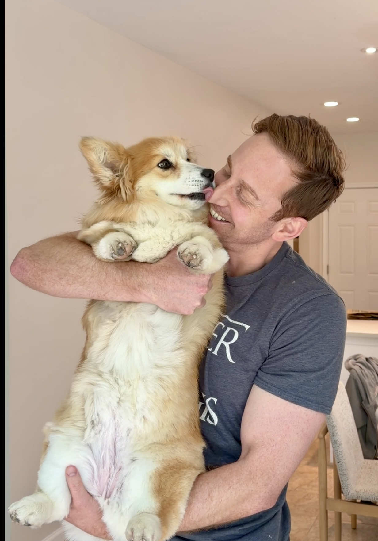 @Hammy & Olivia Corgi