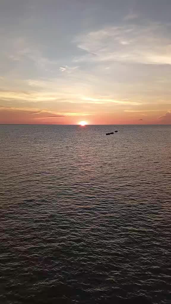 @ফুল🌸🌼