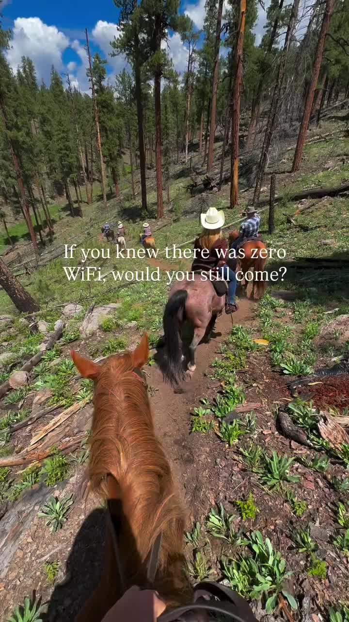 @ThunderGallops