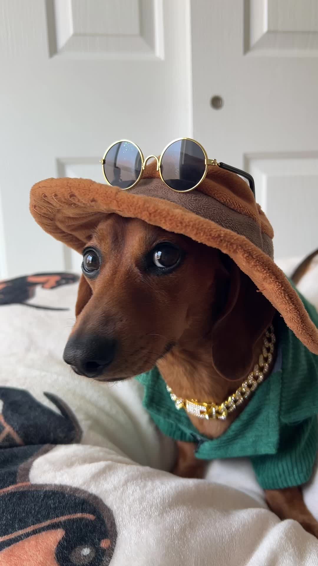 @Slinky Severus-Doo