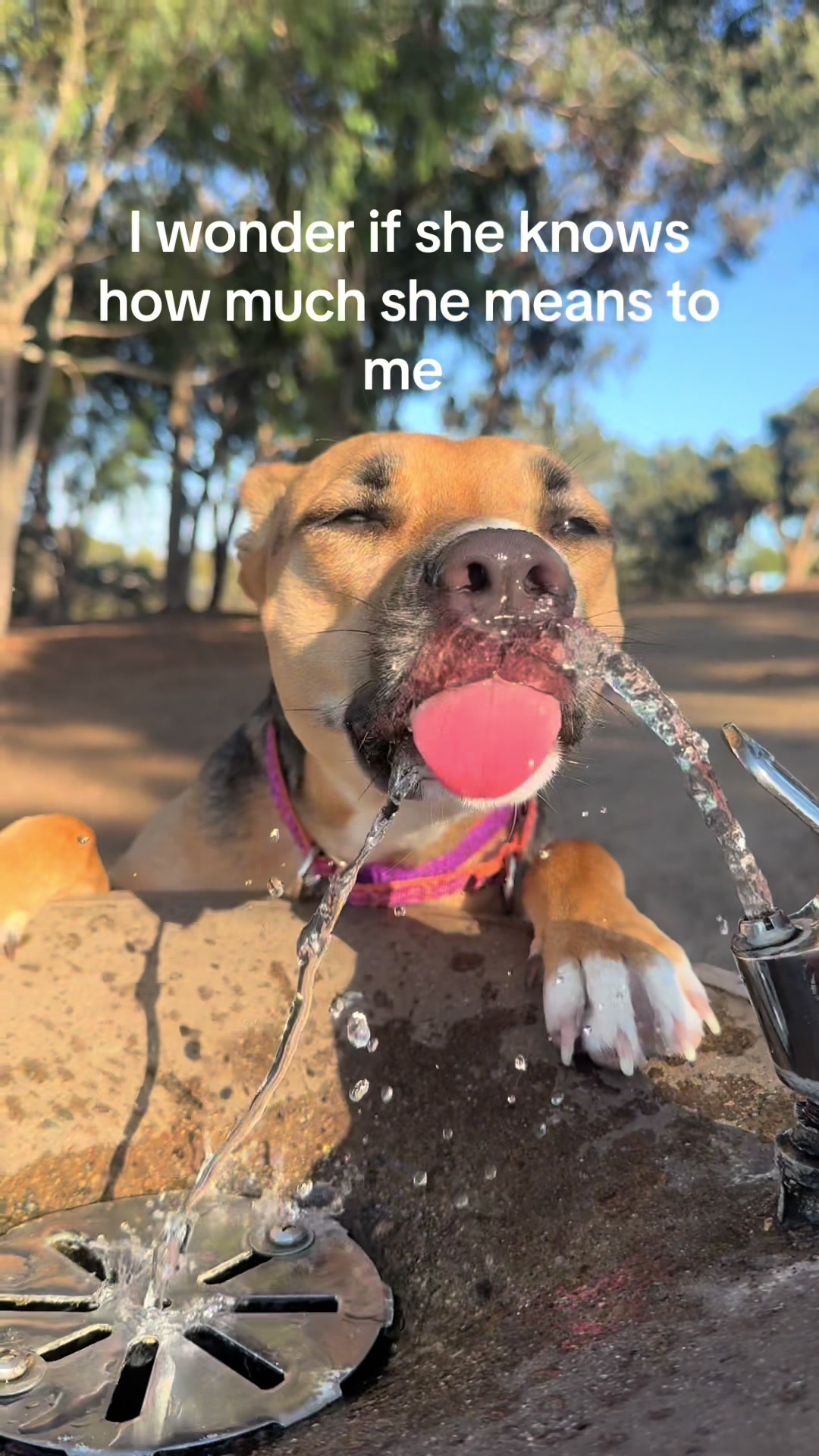 @Sam