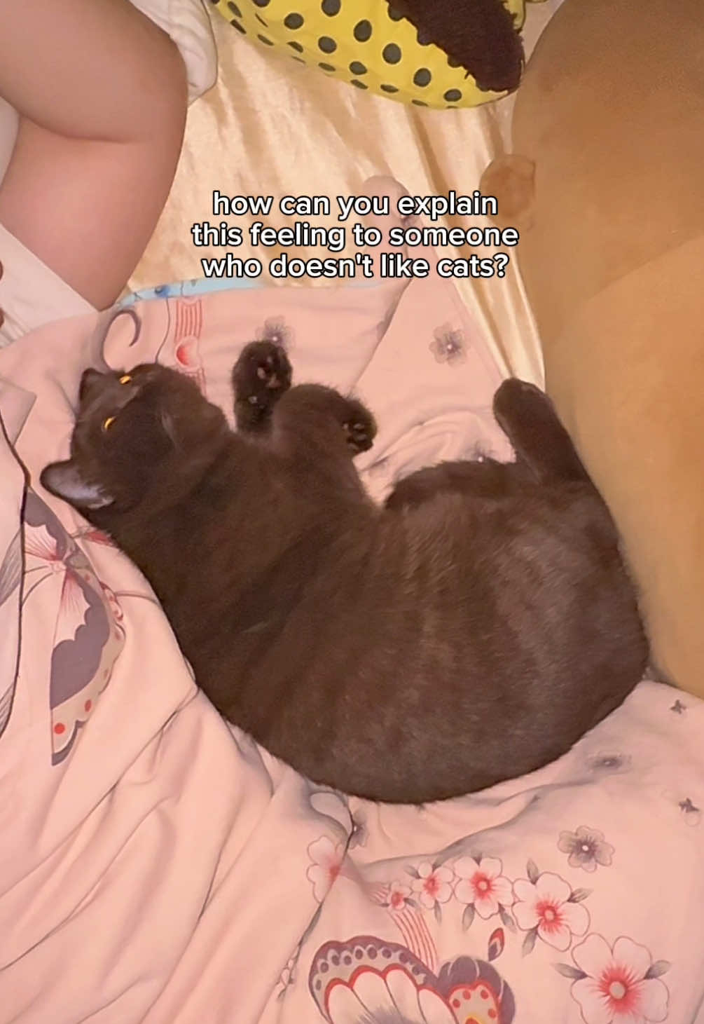 @TOFU