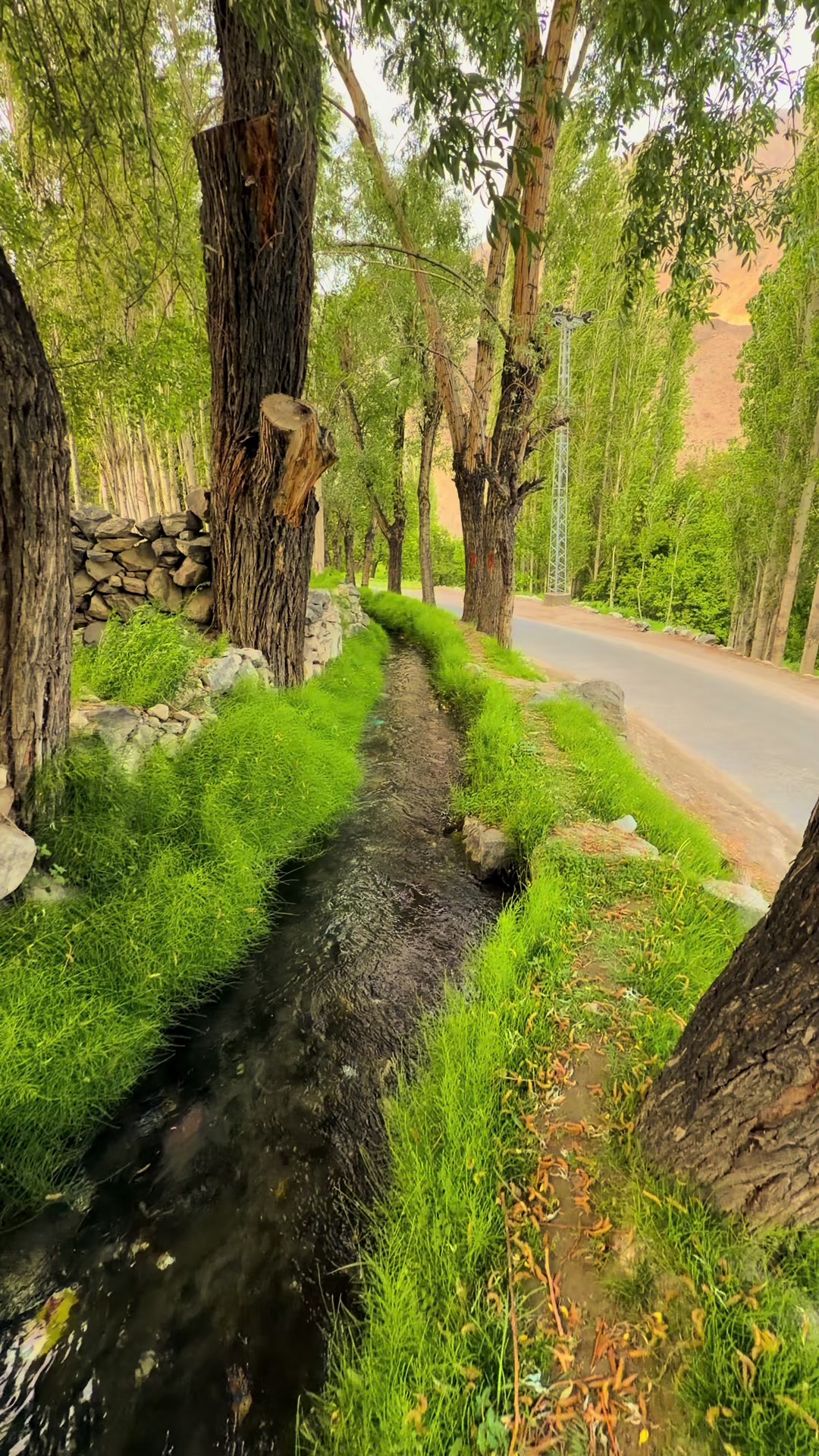 @Skardu Valley
