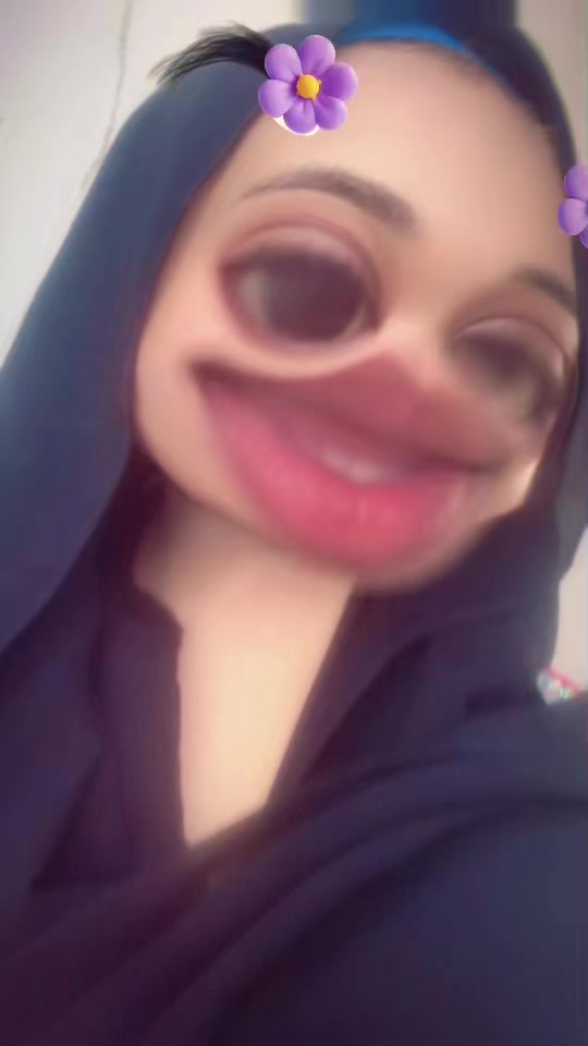 @dijo