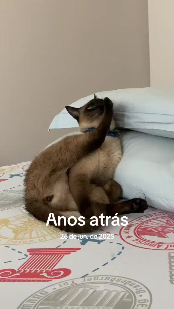 @Tropa Correia