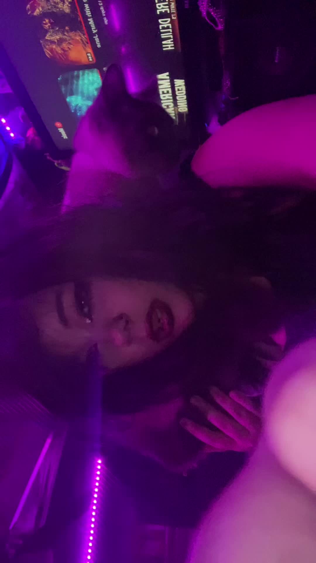 @Layla