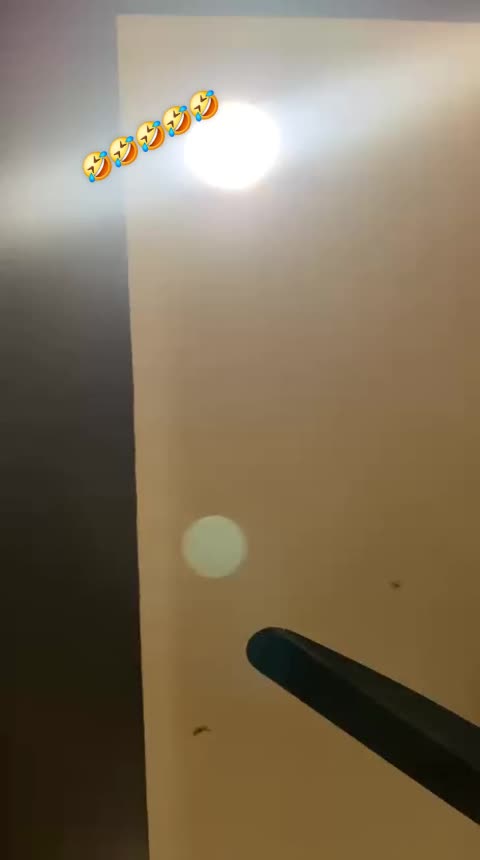 @Chef اسامہ