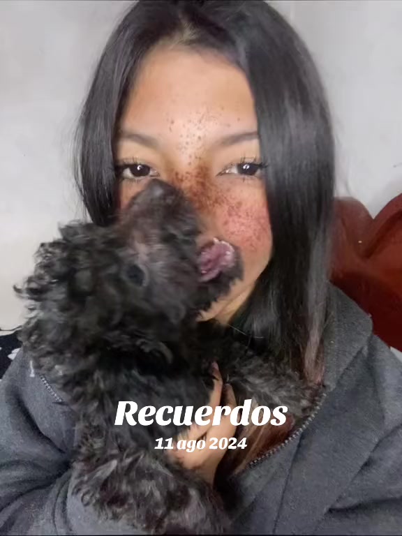 @Ludmila Robles