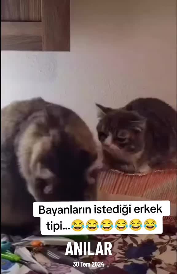 @Kömür Gözlüm