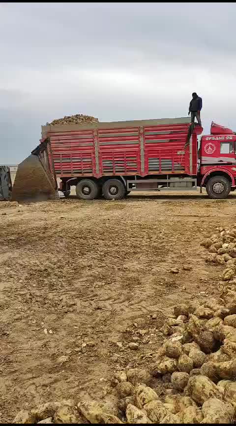 @Ahmet karlıer