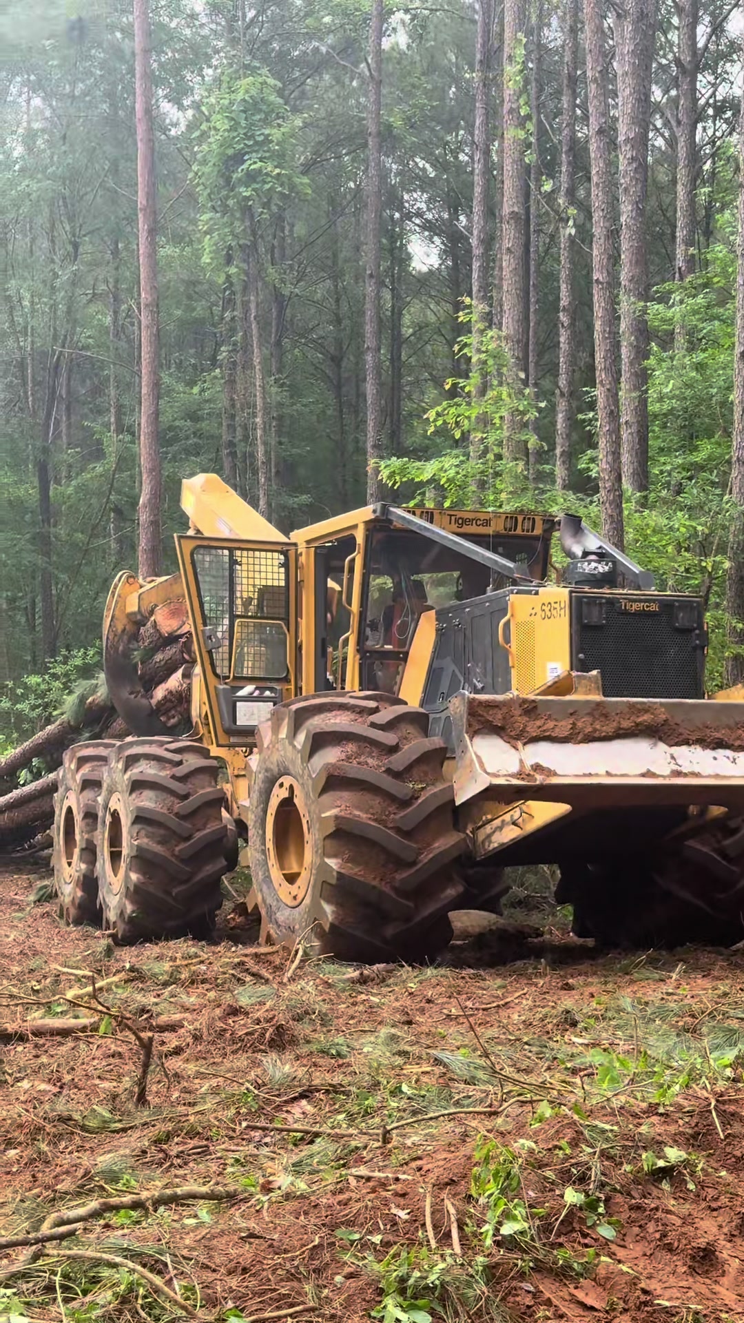 @Superior Forestry Solutions