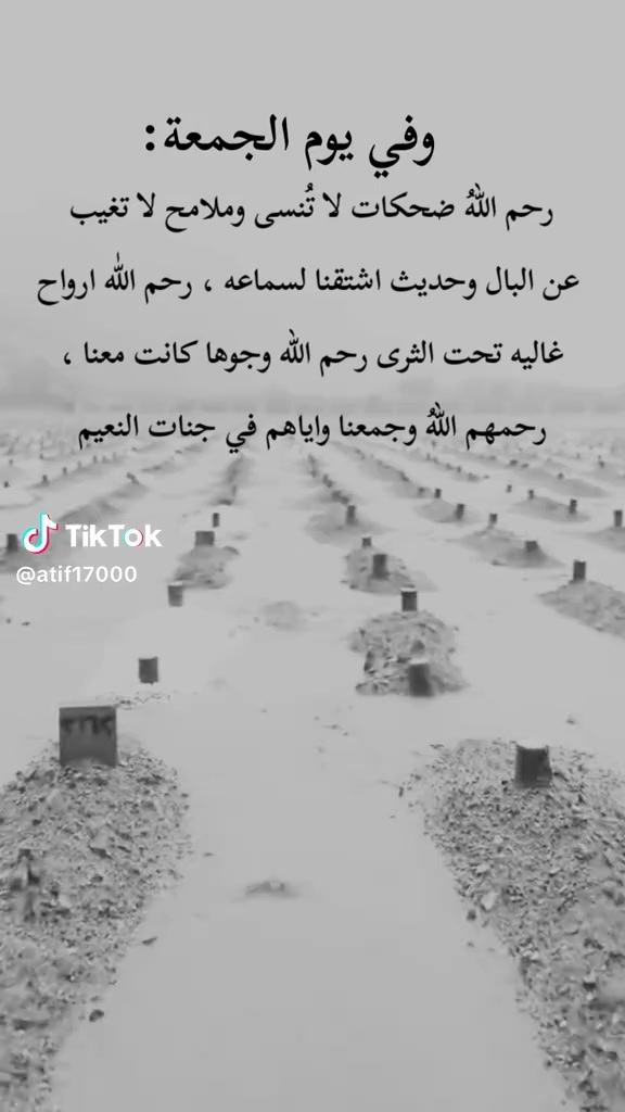 @zineb_belkhira