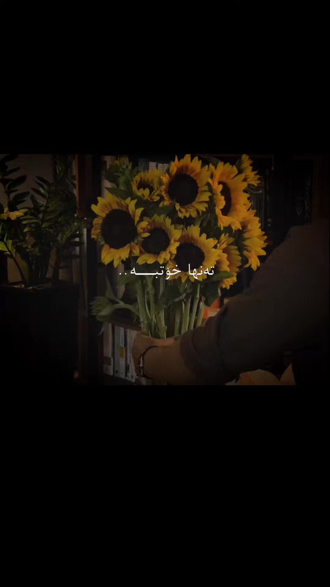 @مـهربـون🌻;