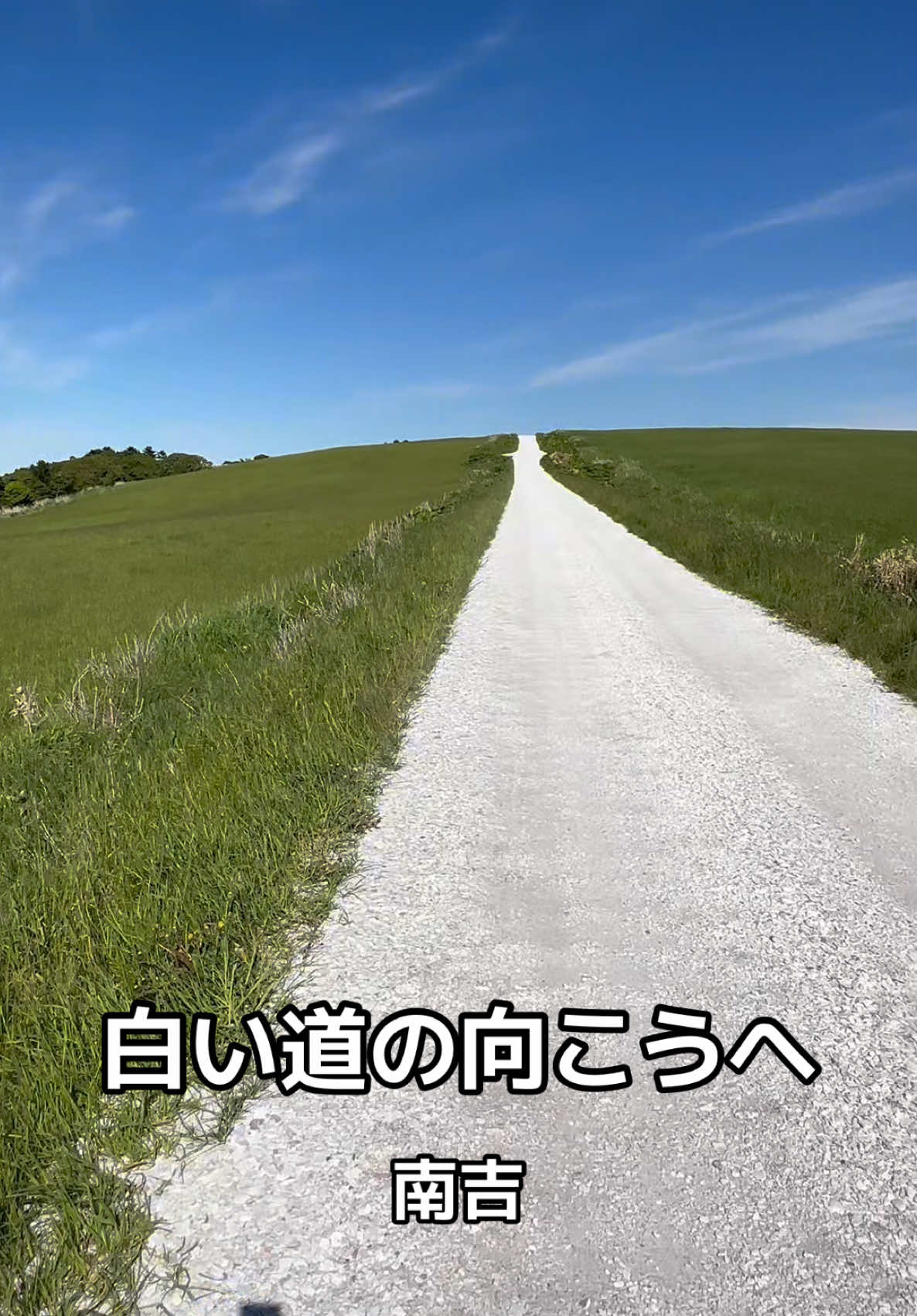@モミゴンJK(南吉)