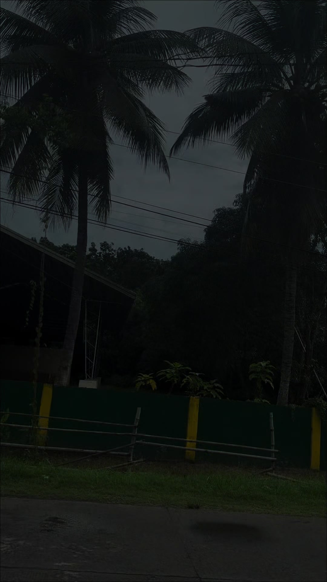 @Malunggay Pan D. Sal