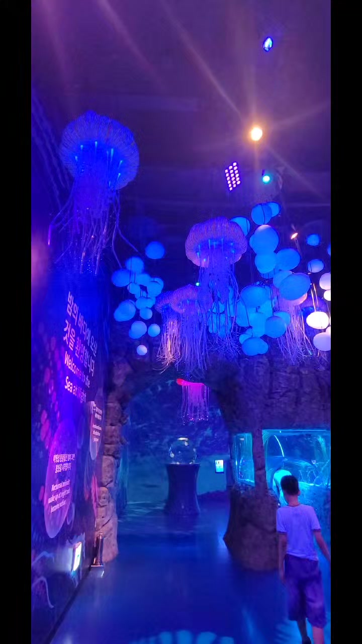 @soochoo💐🐬