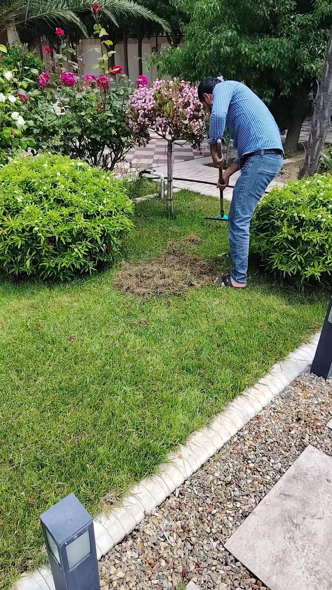 @Bağban