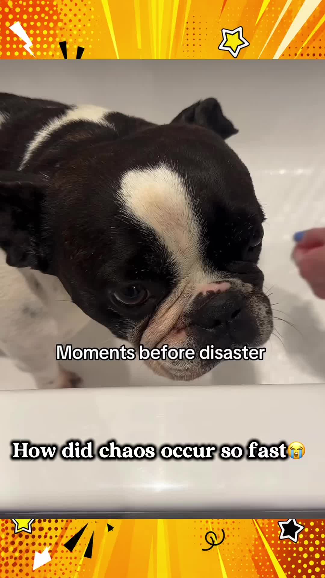 @V2Memes
