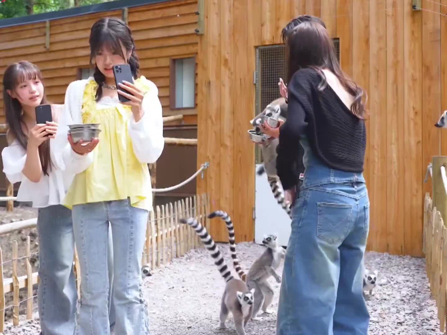@忍者めし鋼改ウマーバ