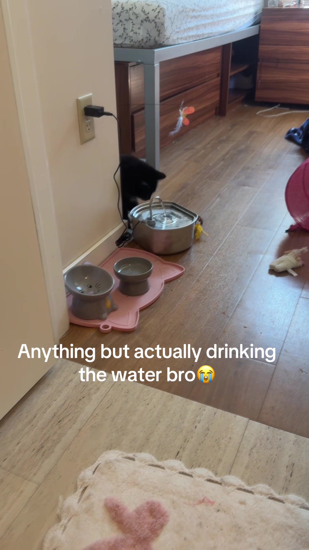 @julka