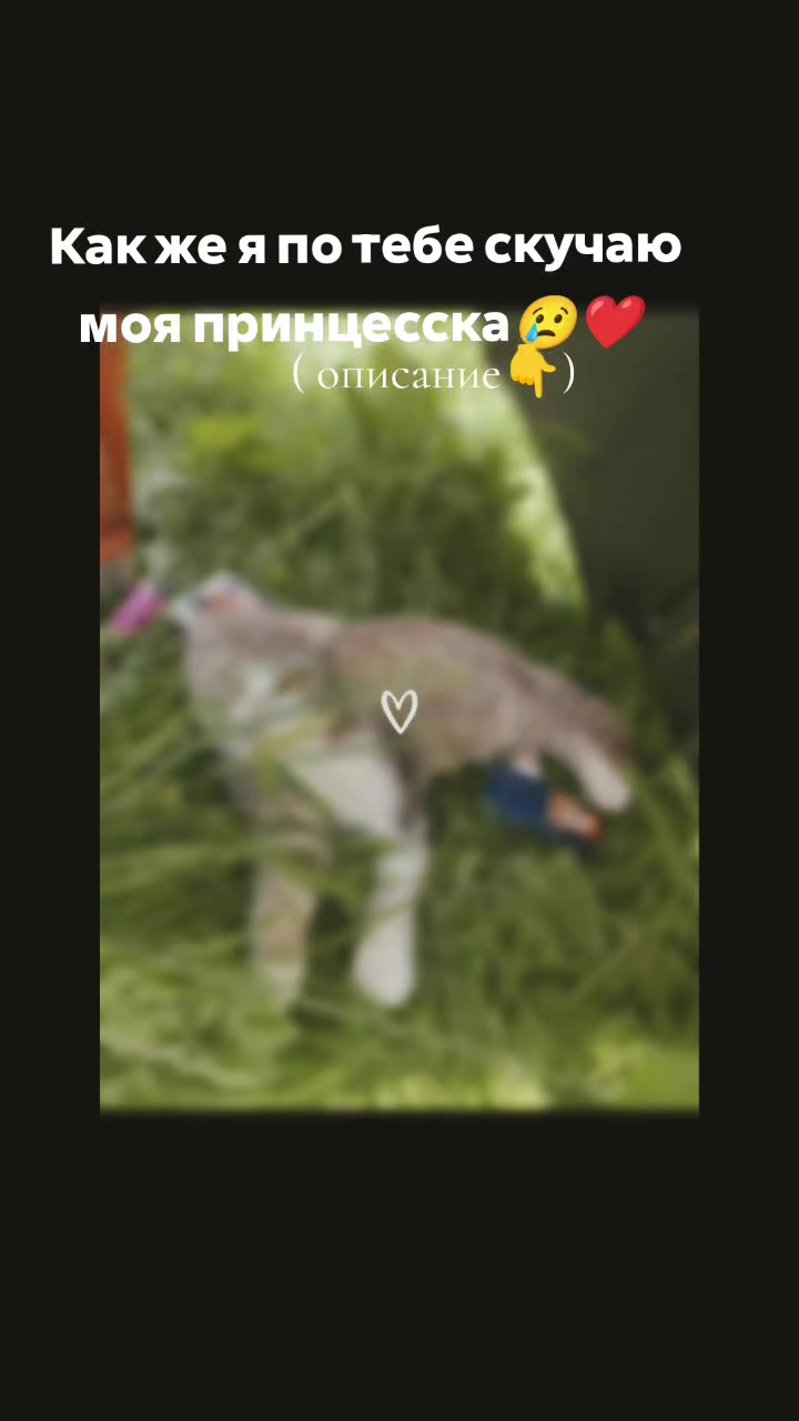 @❤️🇷🇺Девушка из России🇷🇺❤️
