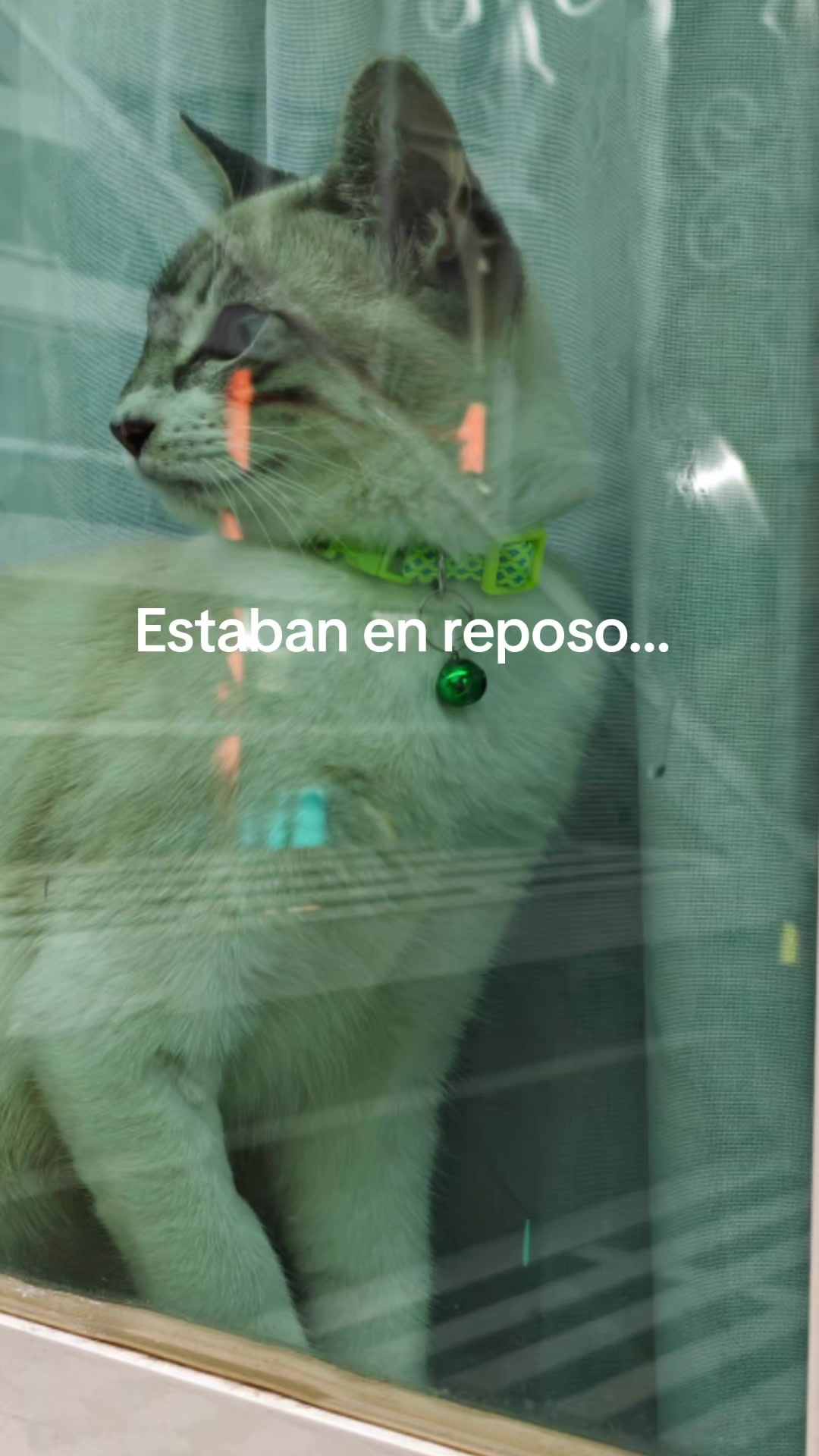 @𝐵𝑙𝑎𝑛𝑞𝑢𝑖𝑡𝑎🌷🩷