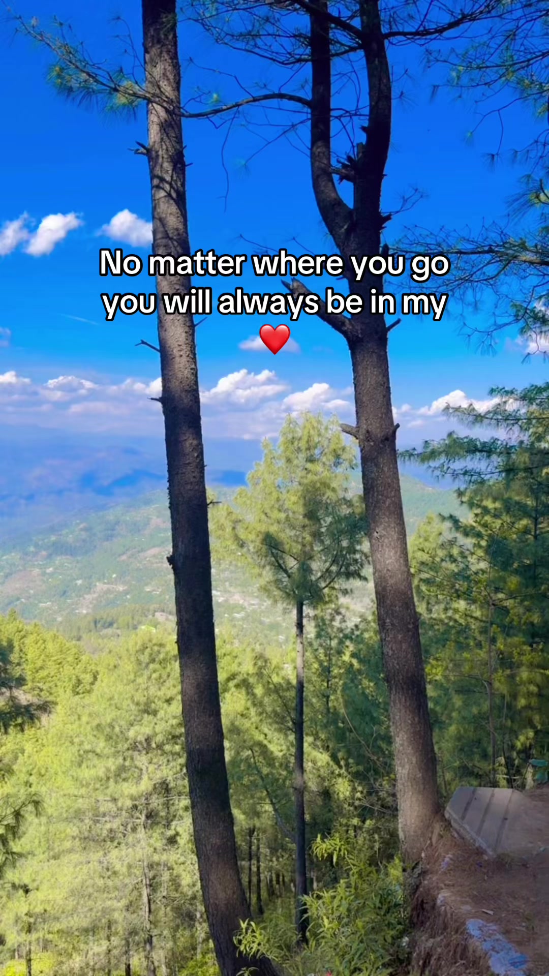 @Aviationlady ✈️