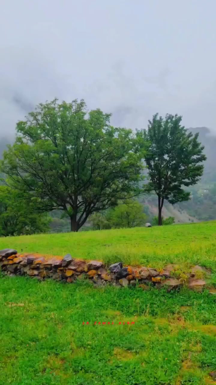 @شعیب عالم  ڈی کے
