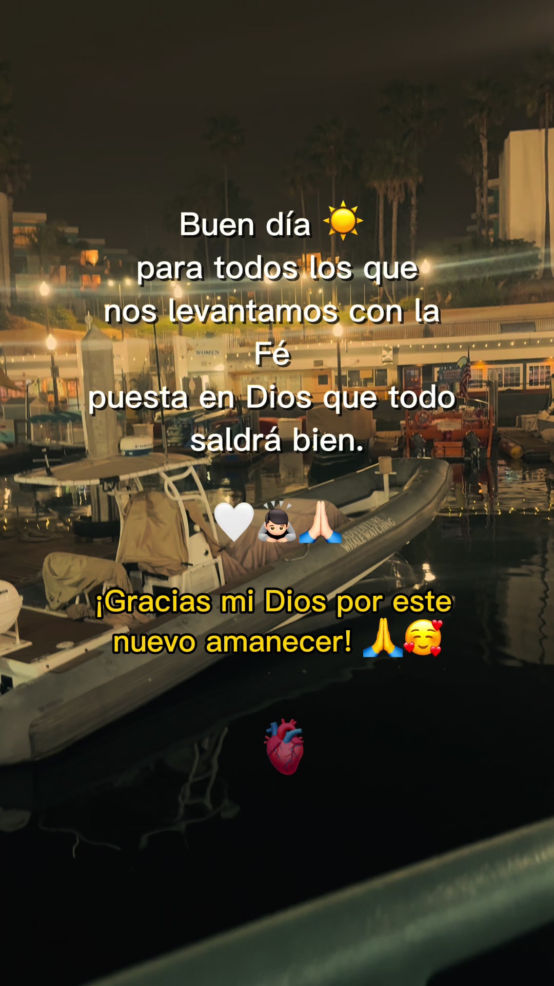 @almaerazo